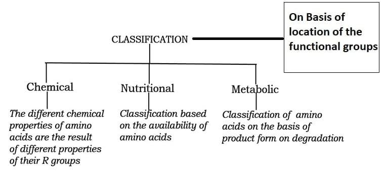different-Classification-of-amino-acids