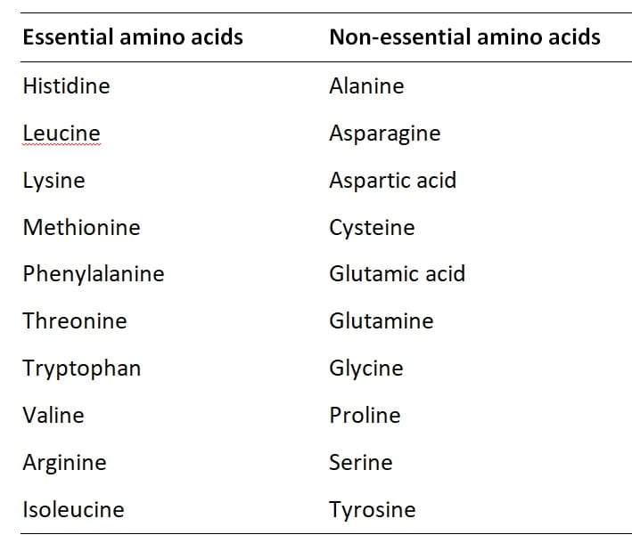 List-of-essential-and non-essential-amino-acids