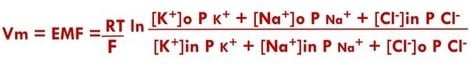 Goldman-Hodgkin-Katz-equation