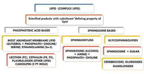 membrane-lipids