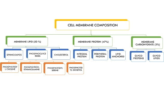 chemical-composition-of-cell-membrane