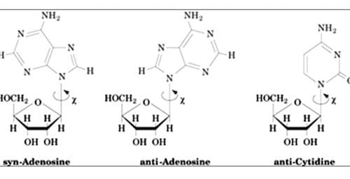 syn-and-anti-conformation