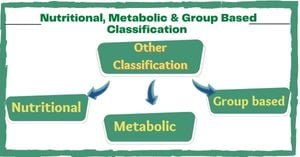 Read more about the article Nutritional, Metabolic and Group based Classification