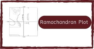 You are currently viewing Ramachandran Plot