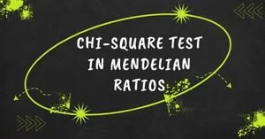 Chi-square-test-in-mendelian-ratios