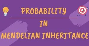 Read more about the article Probability in mendelian inheritance